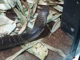 Tiergarten Schönbrunn am 23.03.2023